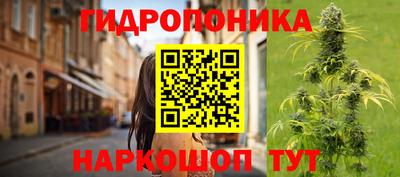 соль ск Аргун