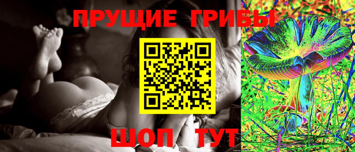 Галлюциногенные грибы GOLDEN TEACHER Белгород